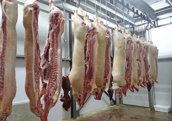 fleischindustrie