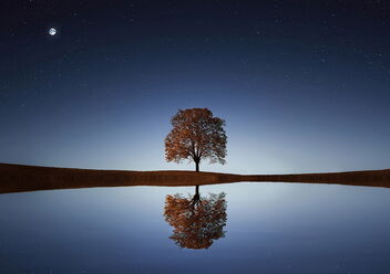 Baum_See